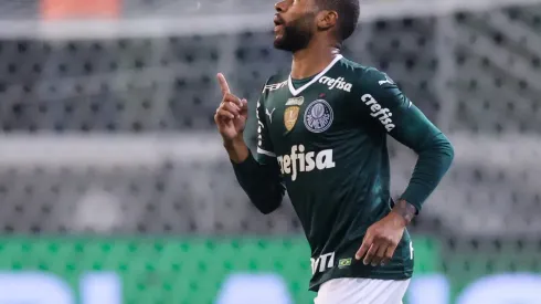 Palmeiras v Botafogo – Brasileirao 2022
