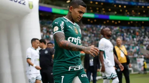 Palmeiras v Goias – Brasileirao 2022
