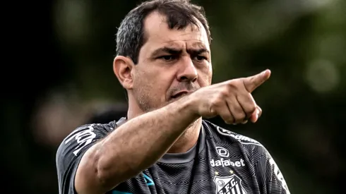 Carille: técnico aprovou retorno de jogador ao Santos (Foto: Ivan Storti/Santos FC/Divulgação)
