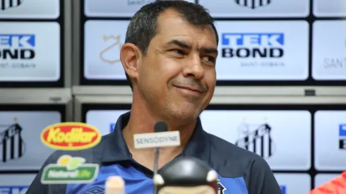 Carille: técnico está confiante em evolução do Santos (Foto: Pedro Ernesto Guerra Azevedo/Santos FC/Divulgação)
