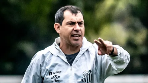 Carille pediu reforços no Peixe (Foto: Ivan Storti/Santos FC/Divulgação)
