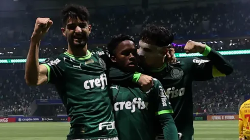 Mesmo lesionado, jogador seguiu atuando pelo Verdão (Foto: Cesar Greco/Palmeiras/Divulgaçõ)
