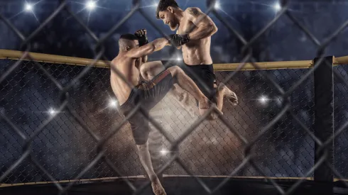Apostas UFC 311: melhores dicas para apostar nas lutas