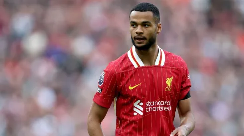Gakpo jogando pelo Liverpool. Foto: Carl Recine/Getty Images
