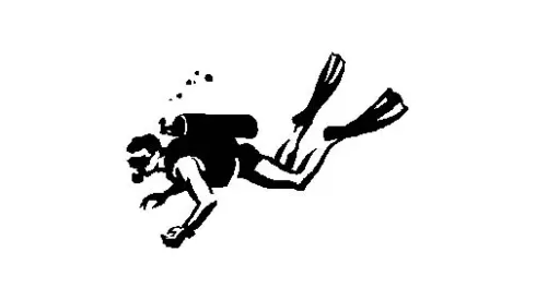 die Tabelle lügen nicht! (Bundesliga Week 12)