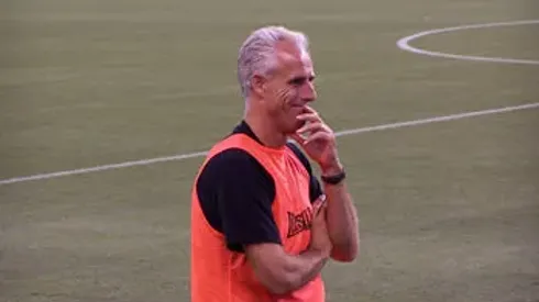 McCarthy's No Genius, So How Come Wolves Are Going Up?