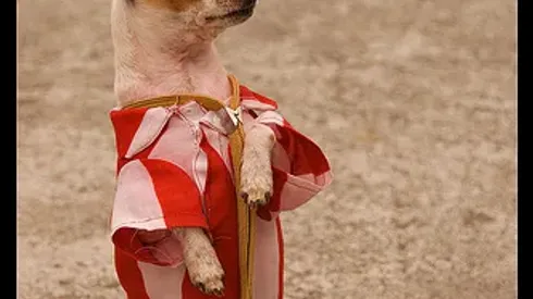 La Liga Jornada 32 Review: Athletic Bilbao Disappoints and Disappears Against Valencia