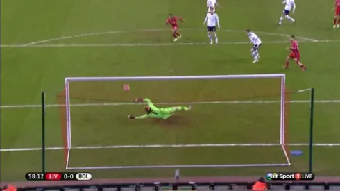 Liverpool sign goalkeeper Adam Bogdan