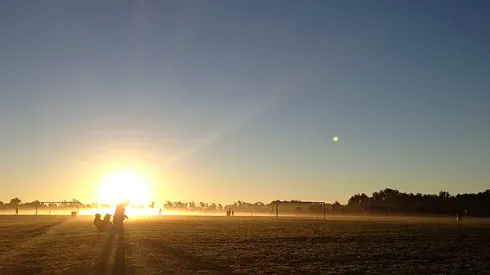 Ian Joy and Meg Linehan interviews