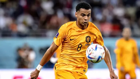 Cody Gakpo's meteoric rise for Netherlands and PSV