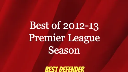 2013 EPL Awards: Best Defender