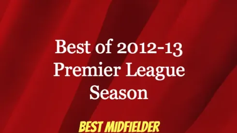 2013 EPL Awards: Best Midfielder