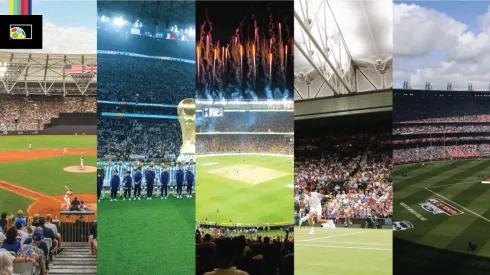 What are the most popular sports in the world?