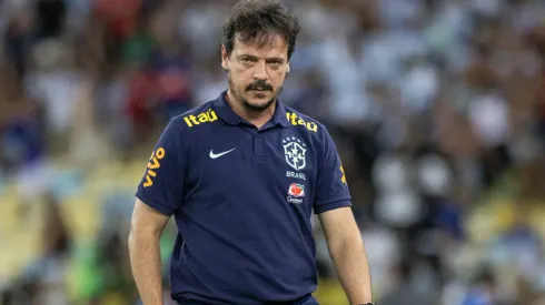 Brazil sack Diniz after Ancelotti's snub: Who will replace him?