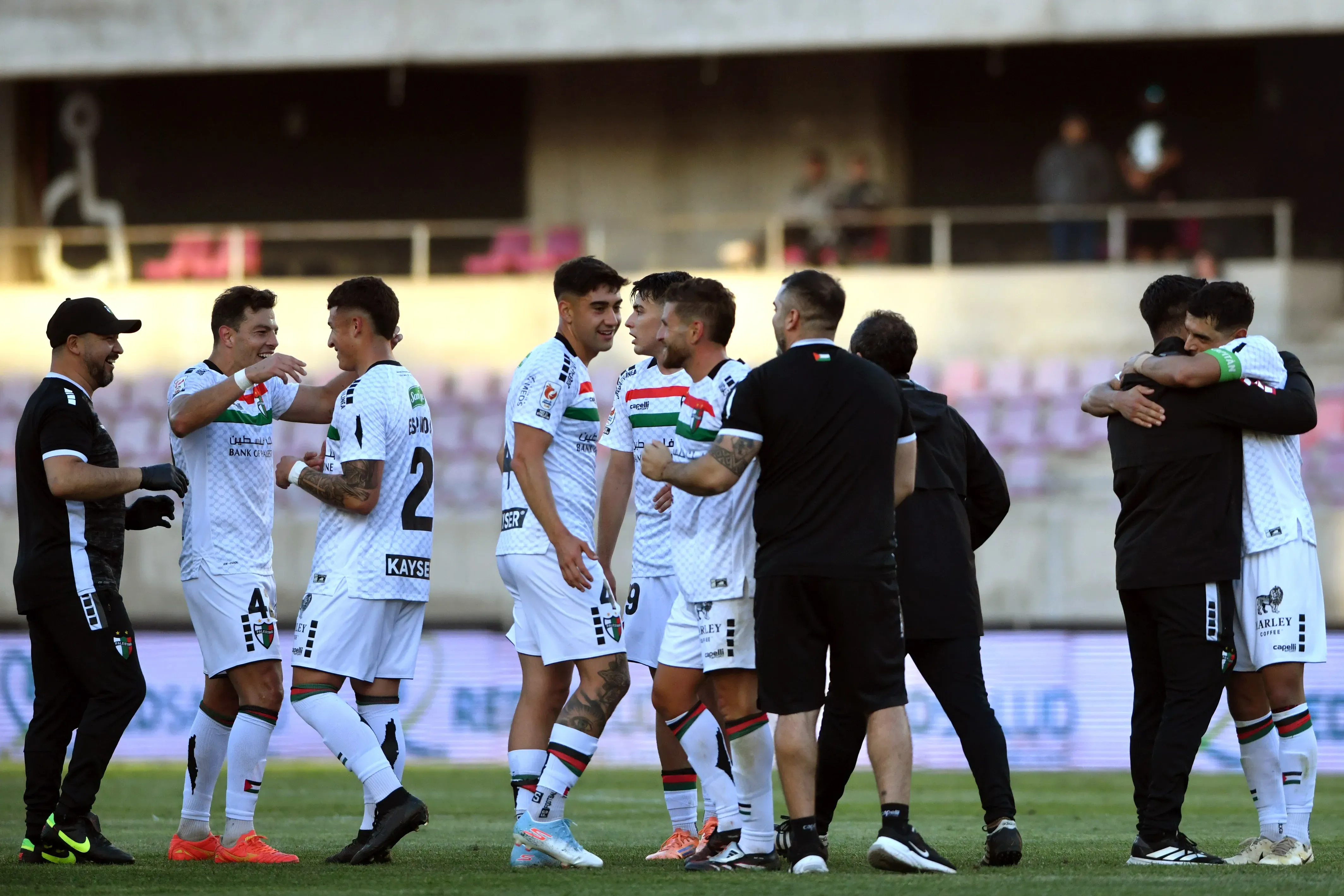 Palestino tiene nuevo DT para 2026. Foto: Alejandro Pizarro/Photosport