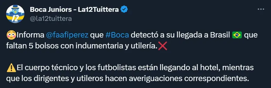 La delegación de Boca sufrió un robo apenas llegó a Brasil.