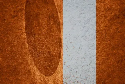 Así lo mostró la transmisión oficial.