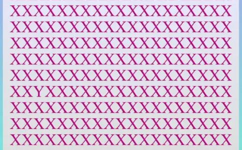 Esta imagen tiene un atributo alt vacío; el nombre del archivo es sopa-3-1024x1024.png