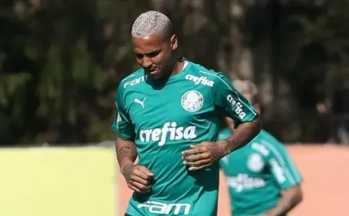 Divulgação/Palmeiras