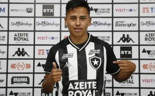 Divulgação/Botafogo