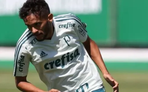 Cesar Greco/Palmeiras