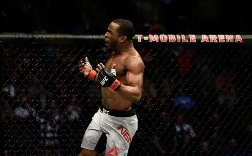 Geoff Neal durante luta do UFC 245. Foto: Getty Images