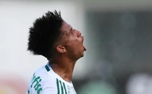 Foto: Flickr Oficial Palmeiras