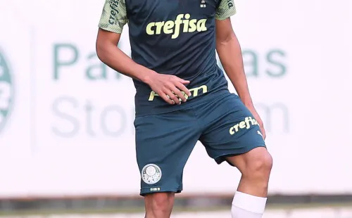 (Foto: Cesar Greco/Palmeiras/Site Oficial)