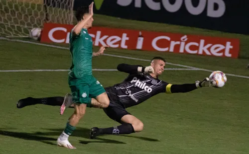 Foto: Rebeca Reis/AGIF