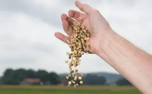 Imagem: Reprodução