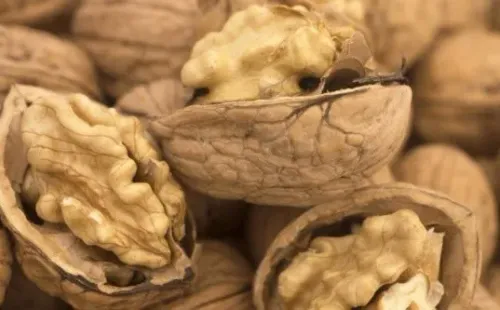 Imagem: Reprodução