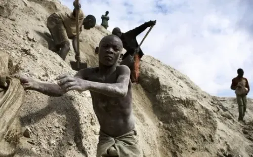 Imagem: Reprodução