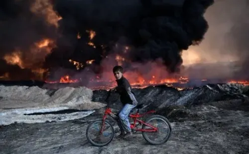 Imagem: Reprodução