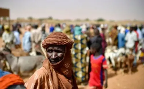 Imagem: Reprodução