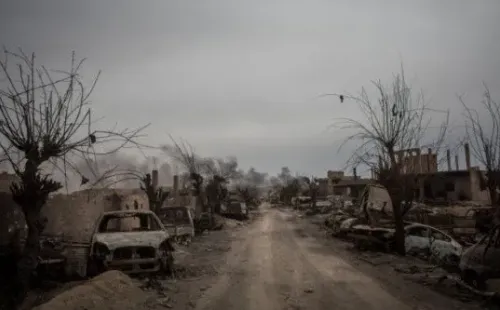 Imagem: Reprodução