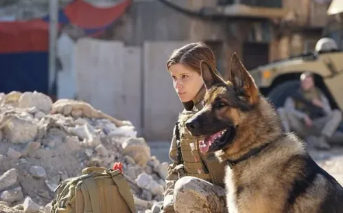 Obra promete trazer história emocionante de amizade entre cão e soldada (Créditos: divulgação/LD Entertainment)