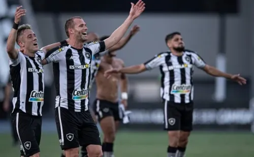 Foto: Jorge Rodrigues/AGIF – Carli comemora com elenco do Botafogo o acesso do time à Série A