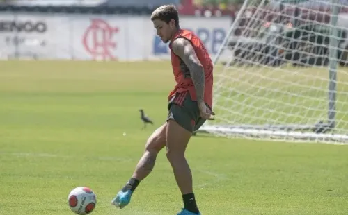 Foto: Alexandre Vidal / Flamengo