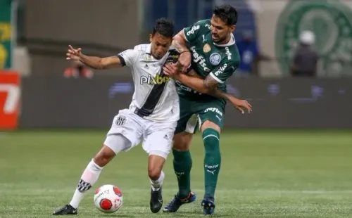 Foto: Marcello Zambrana/AGIF -Luan jogador do Palmeiras disputa lance com Lucca jogador do Ponte Preta