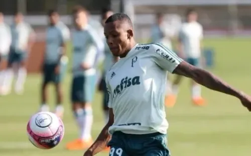 Fernando é outro atacante na mira do Palmeiras (Foto: Cesar Grecco/Ag. Palmeiras)