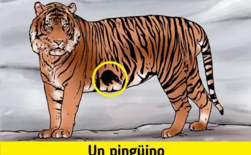 La solución del desafío.