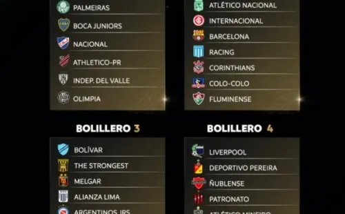 Foto: Twitter oficial de la Copa Libertadores.