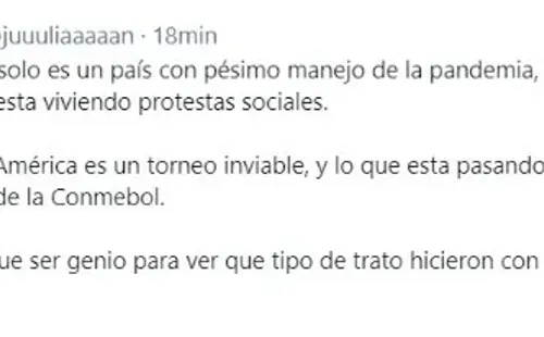 Los hinchas también manifestaron su molestia | Foto: captura twitter