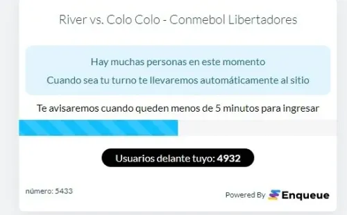 Miles de hinchas hacen fila para conseguir una entrada para el Colo Colo vs River Plate. | Foto: Captura.