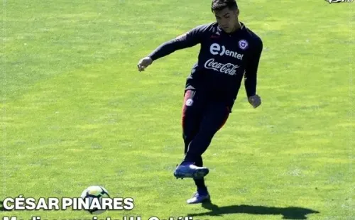Formación: Colo Colo