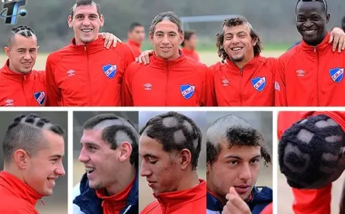 Falcón