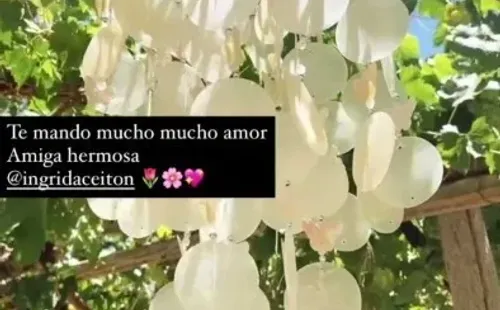 Mensaje de Camila Recabarren a Ingrid Aceitón