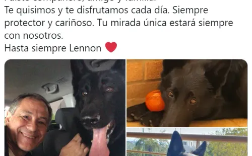 Publicación de Ariel Holan para su perrito