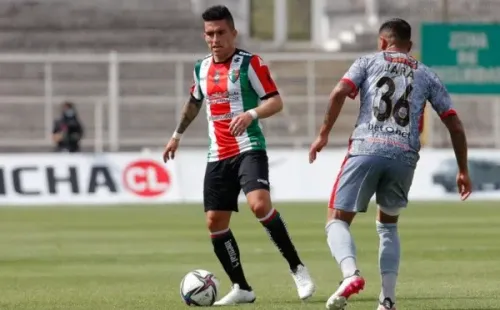 Palestino