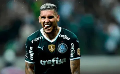 palmeiras